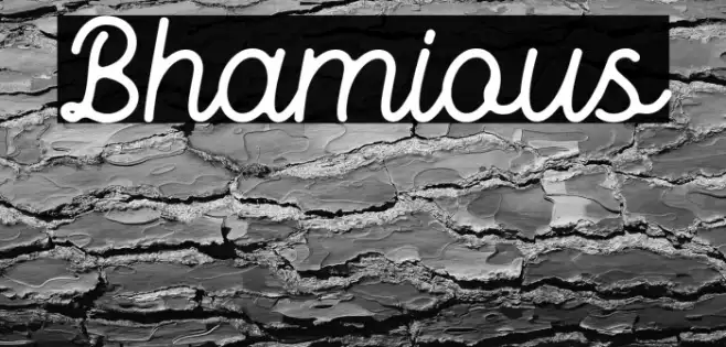 Bhamious Example 3