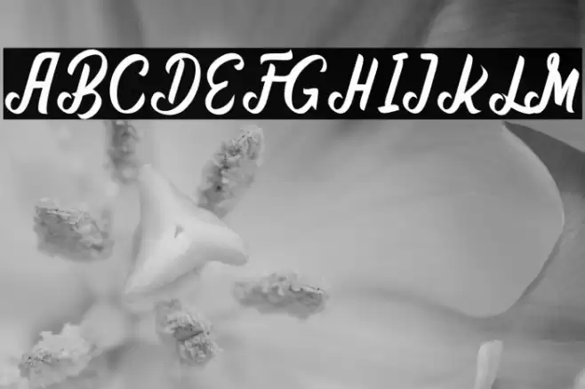 Bhanira Font examples