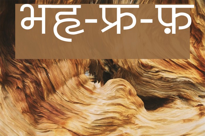 BharatVani-Wide-Font Example 2