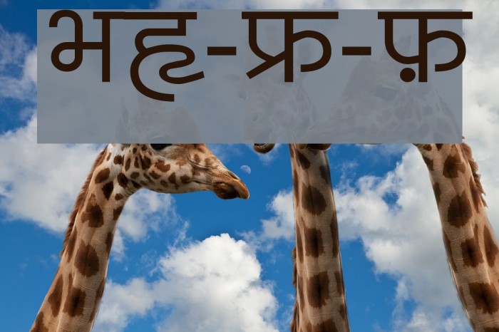 BharatVani-Wide-Font Example 3