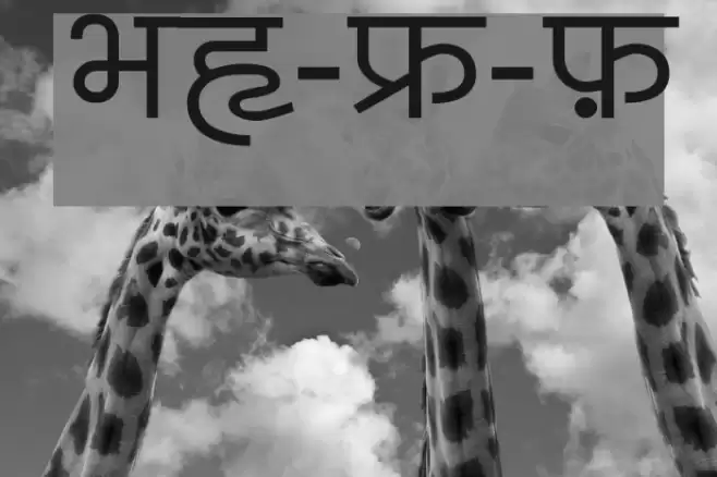 BharatVani-Wide-Font Font examples