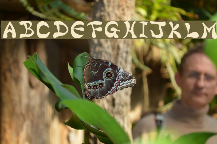 Bharatic-Font Font examples
