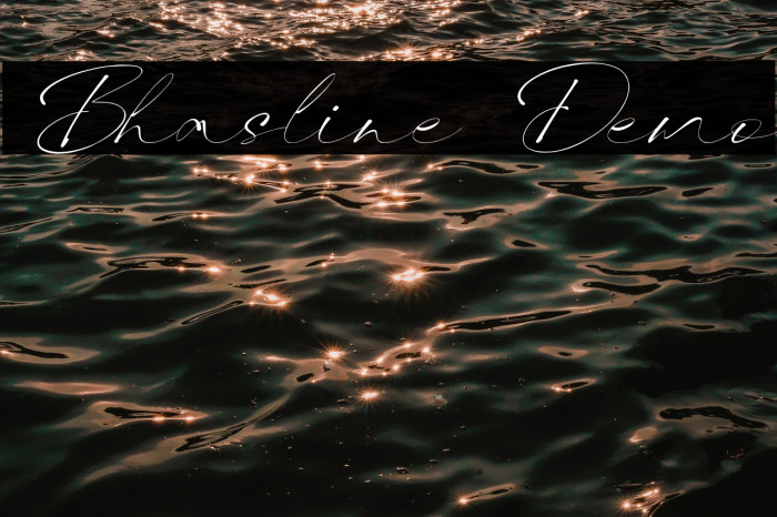 Bhasline Demo Example 1