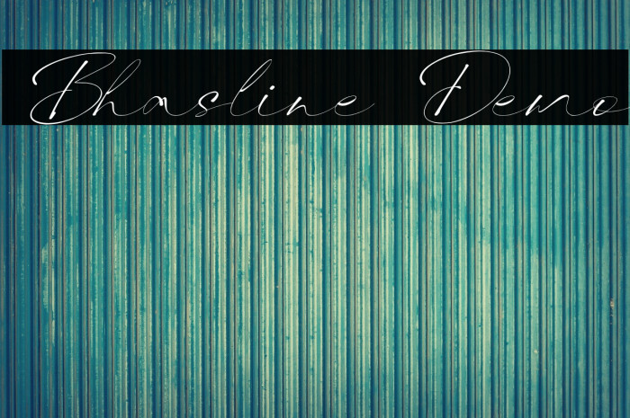 Bhasline Demo Example 3