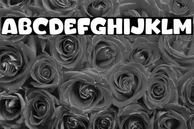 Bhel Puri Fonte examples