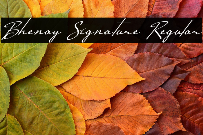 Bhenay Signature Regular Example 2