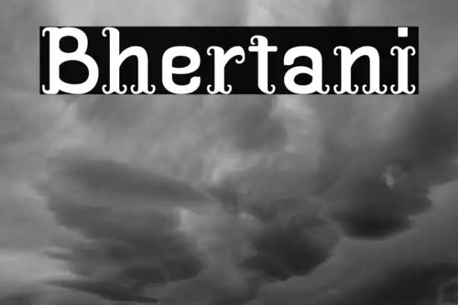 Bhertani Example 1