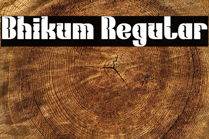 Bhikum Regular Example 3