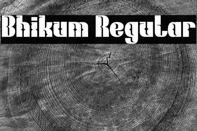 Bhikum Regular Caratteri examples