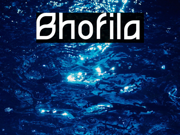 Bhofila Example 1