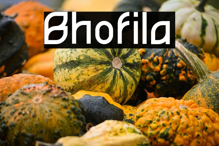 Bhofila Example 2