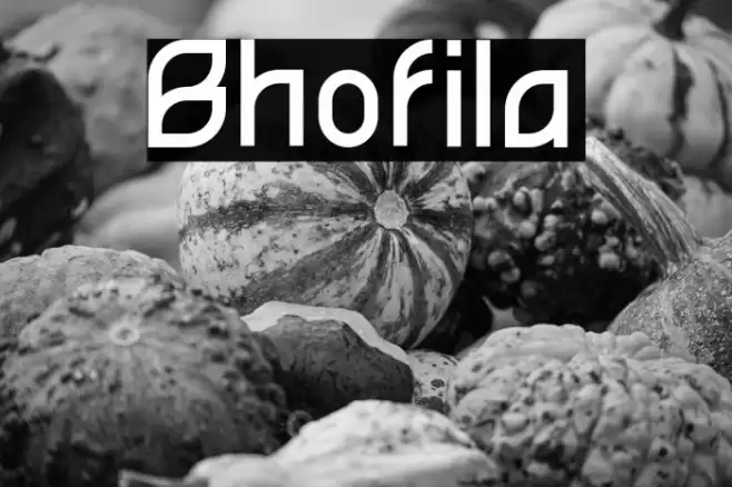 Bhofila Font examples