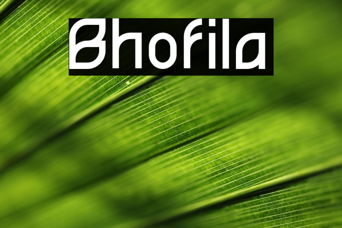 Bhofila Example 3