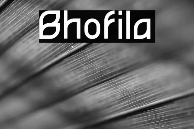 Bhofila Font examples