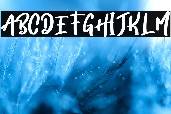 Bhomellan Personal Use Example 1