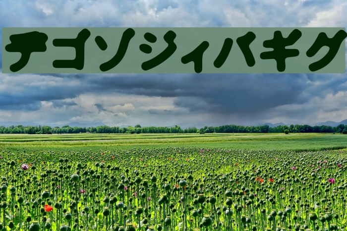 Bhoochoo Font examples