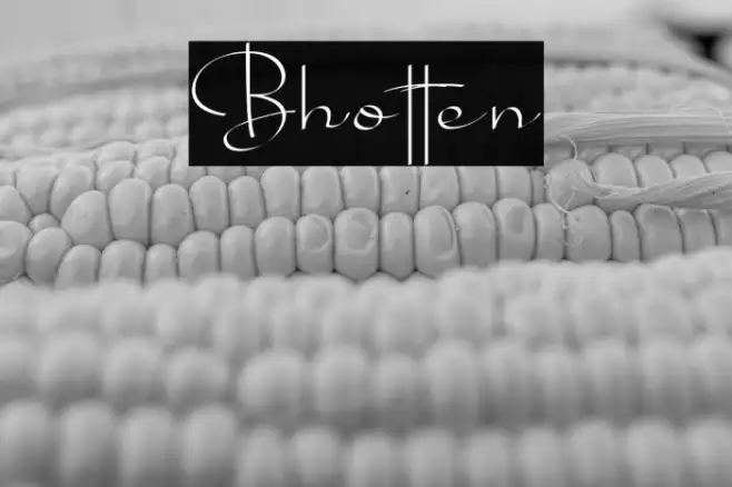 Bhotten Example 3