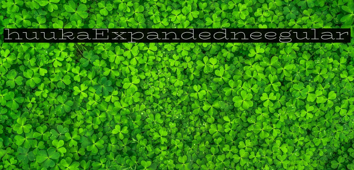 BhuTuka Expanded One Regular Example 3