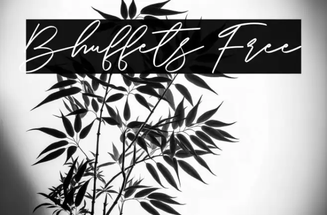 Bhuffets Free Example 2