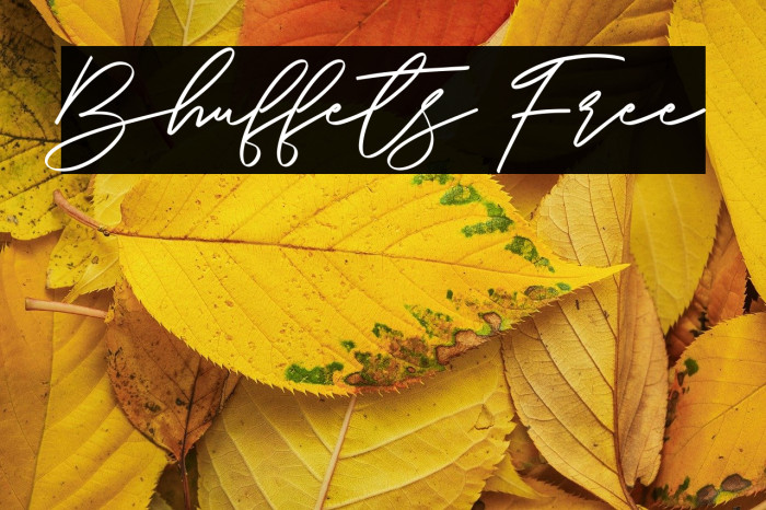 Bhuffets Free Example 3