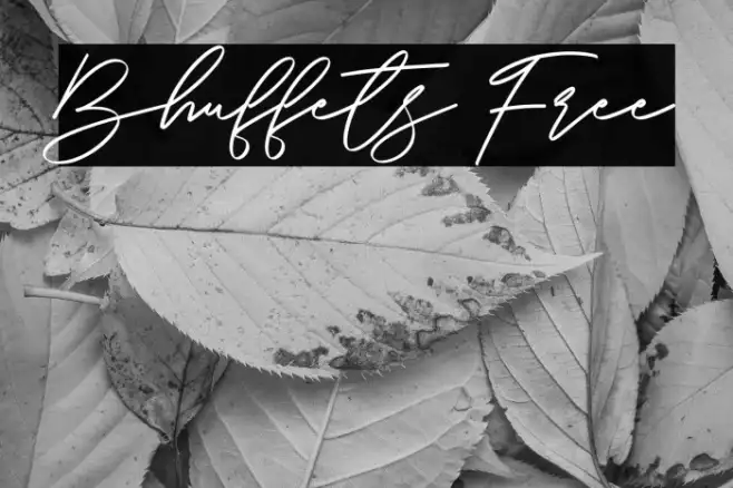 Bhuffets Free Example 3