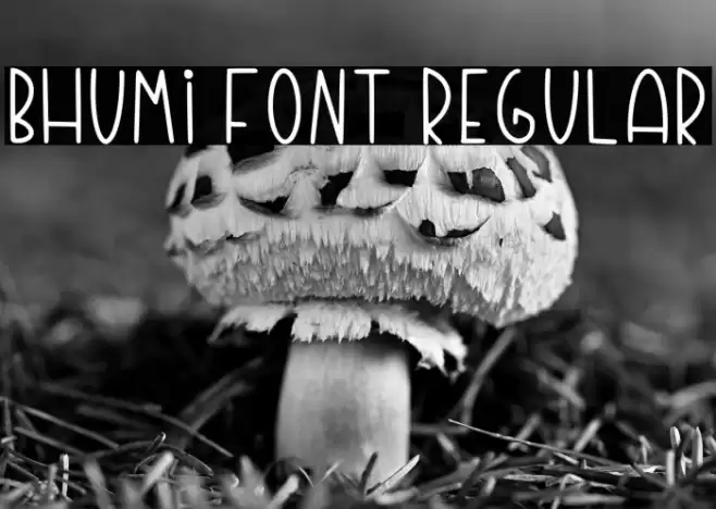 Bhumi Font Regular 字体 examples