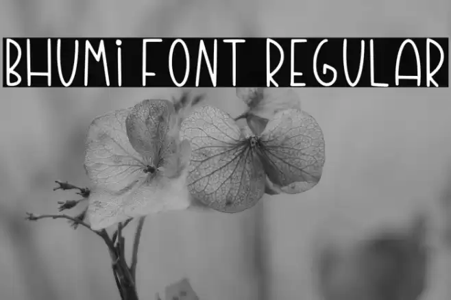 Bhumi Font Regular 字体 examples