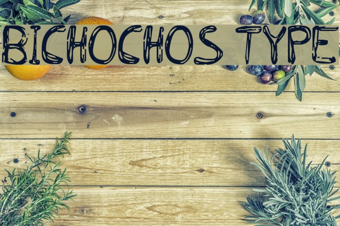 BICHOCHOS TYPE Font examples