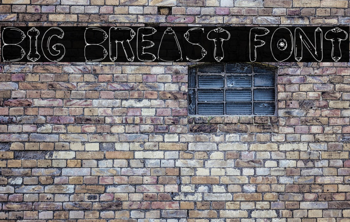 BIG BREAST FONT Example 1