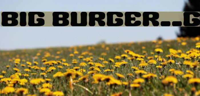 BIG BURGER__G Font examples
