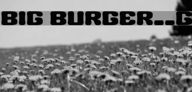 BIG BURGER__G Шрифта examples