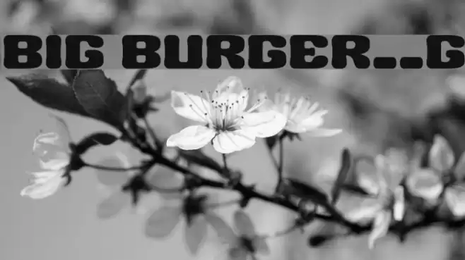 BIG BURGER__G Font examples