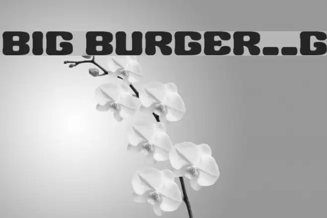 BIG BURGER__G Font examples