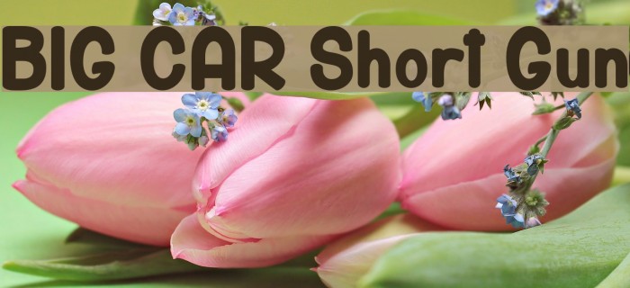 BIG CAR Short Gun Шрифта examples