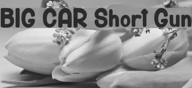 BIG CAR Short Gun Font examples