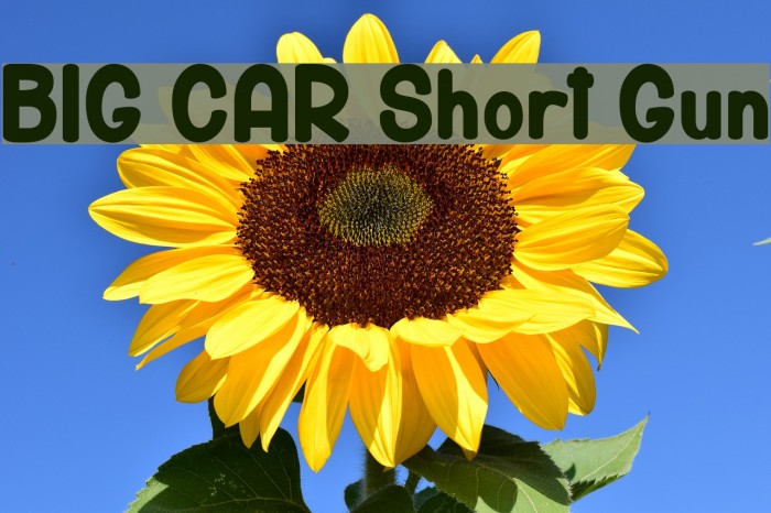 BIG CAR Short Gun Шрифта examples