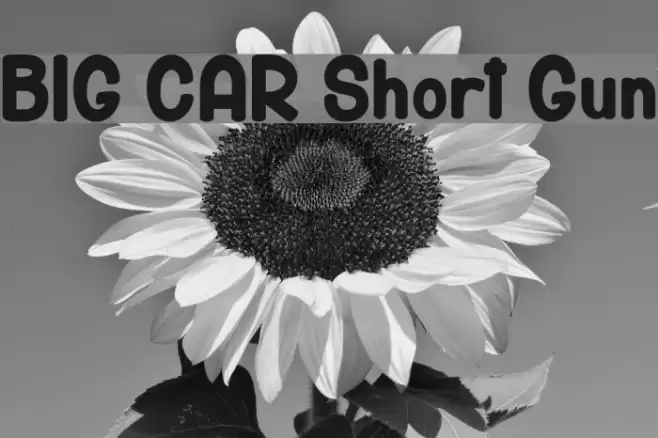 BIG CAR Short Gun Font examples