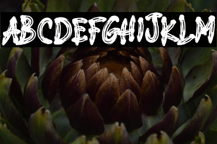 BIG GORILLA Example 3