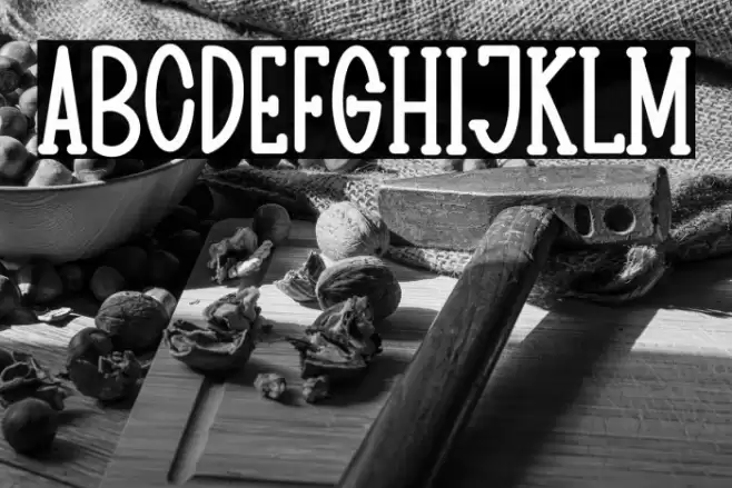 BIG HOUSE Font examples