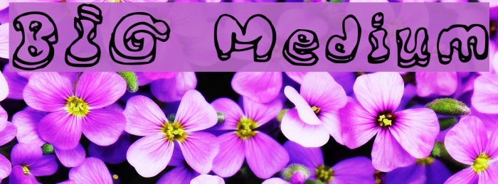 BIG Medium Font examples