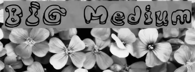 BIG Medium Font examples