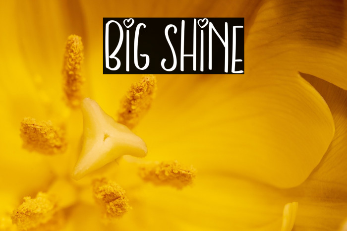 BIG SHINE Example 3