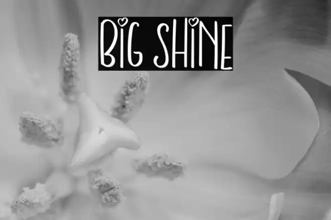BIG SHINE Font examples