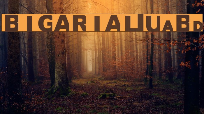 BIGARIAL UltraBold Example 3