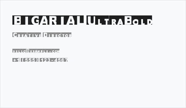BIGARIAL UltraBold Business Card