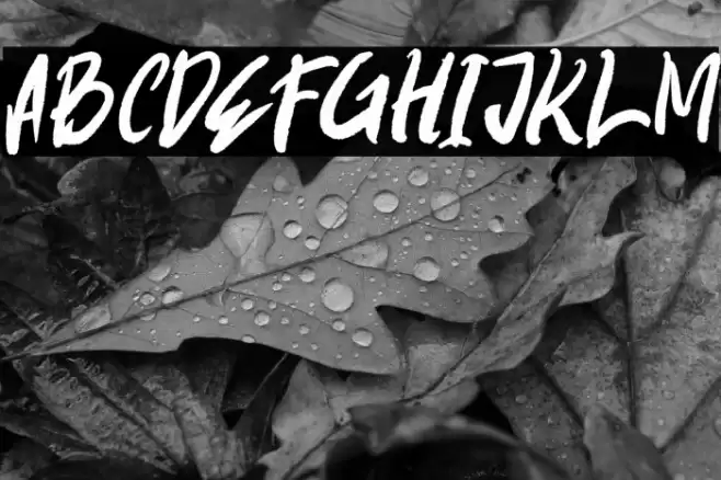 BIGBOSS Font examples