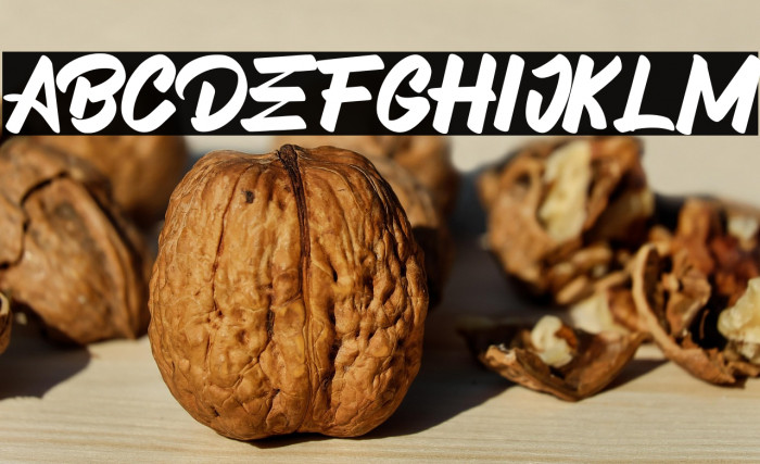 BIGGERSCAPEDemo Example 2