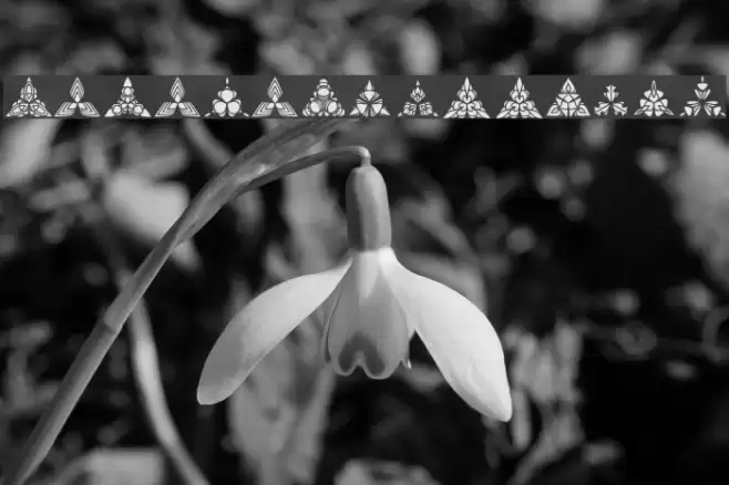 BIGILIW.Patterns Font examples