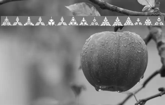 BIGILIW.Patterns Font examples