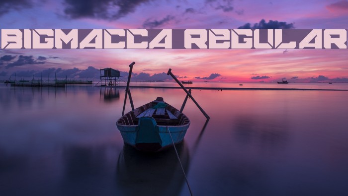 BIGMACCA Regular Example 1